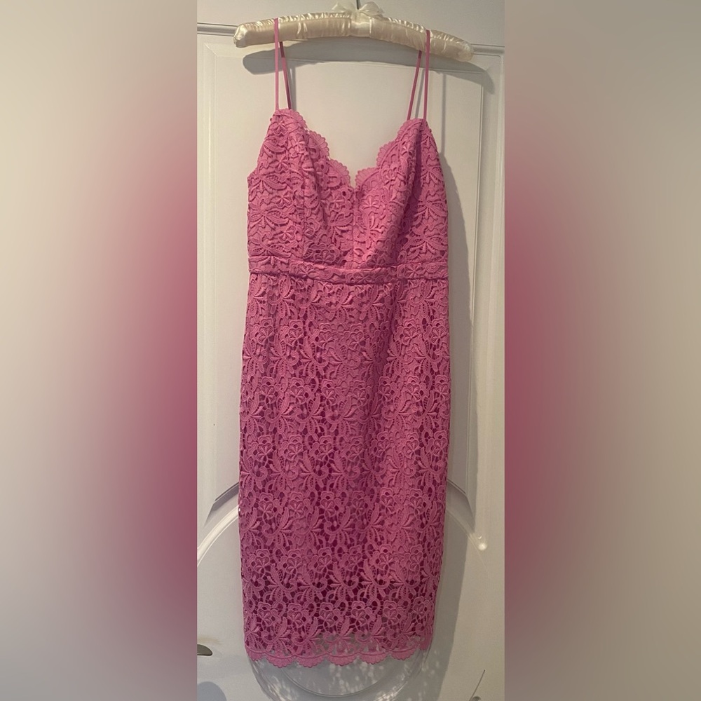 NWT J Crew Pink Lace Dress